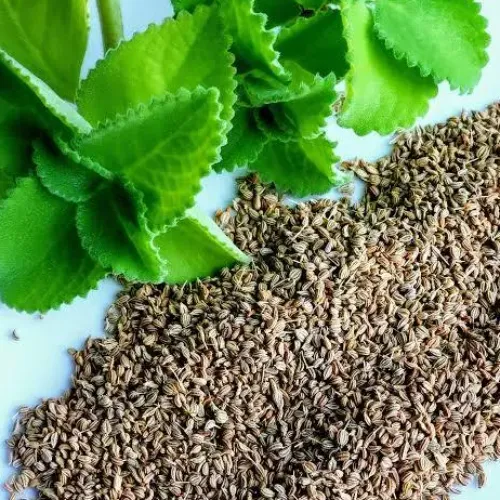 Ajwain - Product Image
