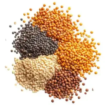 All Products - Ghalla Mandi Lahore